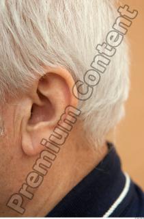 Ear texture of street references 447 0001